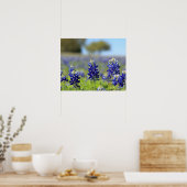 Texas Bluebonnets Poster (Keuken)