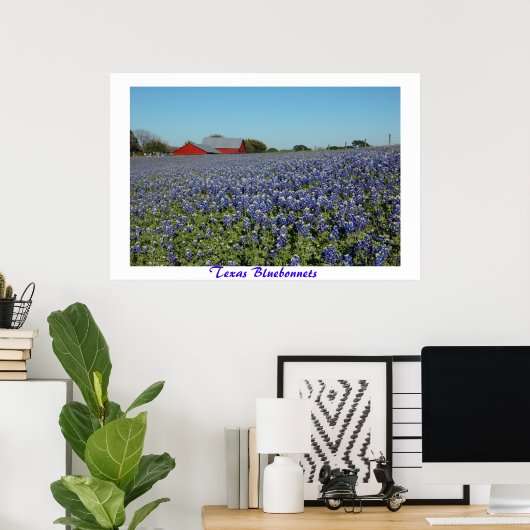 Texas Bluebonnets Poster (Thuiskantoor)