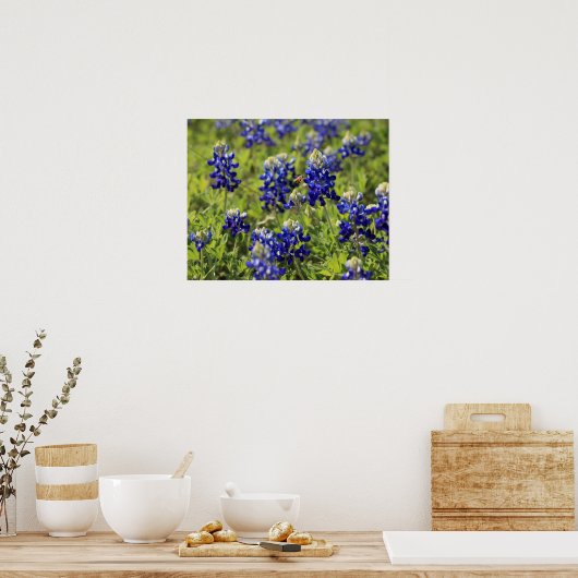 Texas Bluebonnets Poster (Keuken)