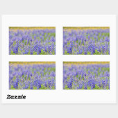 Texas Bluebonnets Rechthoekige Sticker (Vel)