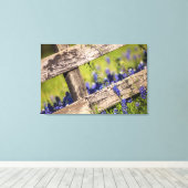 Texas Bluebonnets rond een landhek Canvas Afdruk (Insitu (Houten vloer))