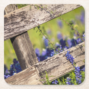 Texas Bluebonnets rond een landhek Kartonnen Onderzetters