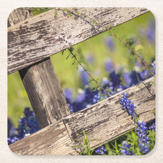 Texas Bluebonnets rond een landhek Kartonnen Onderzetters (Voorkant)