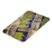 Texas Bluebonnets rond een landhek Magneet (Linkerzijde)