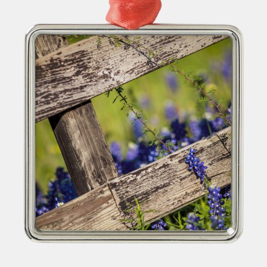 Texas Bluebonnets rond een landhek Metalen Ornament (Voorkant)