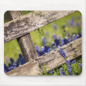 Texas Bluebonnets rond een landhek Muismat (Voorkant)