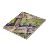 Texas Bluebonnets rond een landhek Tegeltje (Zijkant)