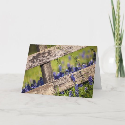Texas Bluebonnets rond een Omheining van het Land Kaart (Voorkant)