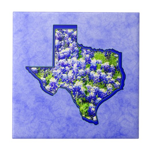 TEXAS BLUEBONNETS TEGELTJE (Voorkant)