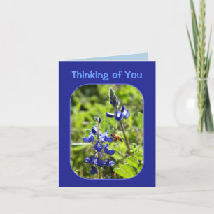Texas Bluebonnets Thinking of You Kaart