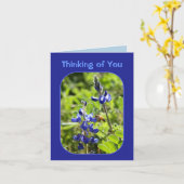 Texas Bluebonnets Thinking of You Kaart (Gele Bloem)