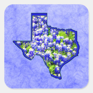 TEXAS BLUEBONNETS VIERKANTE STICKER