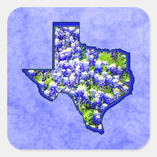 TEXAS BLUEBONNETS VIERKANTE STICKER (Voorkant)