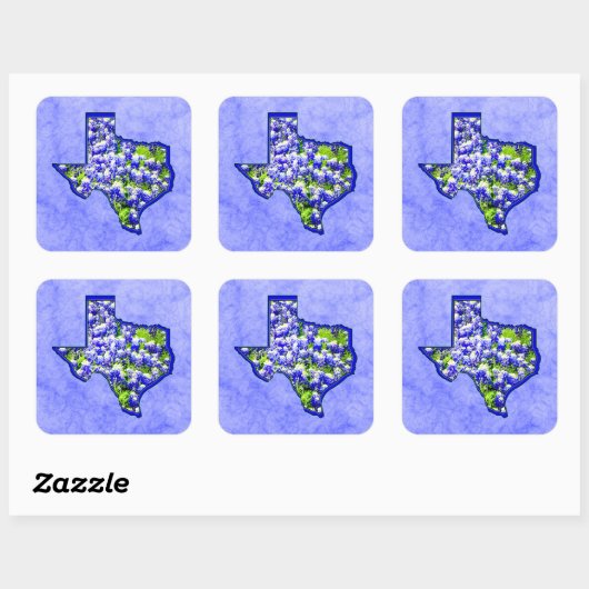 TEXAS BLUEBONNETS VIERKANTE STICKER (Vel)