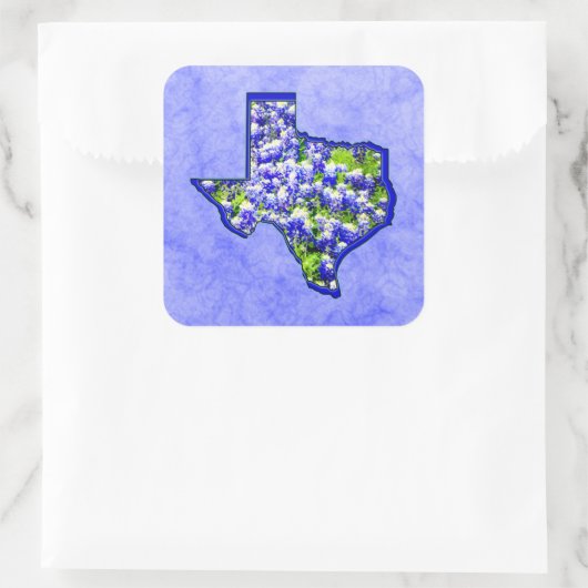 TEXAS BLUEBONNETS VIERKANTE STICKER (Tas)