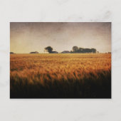 Texas Boerderij briefkaart (Voorkant)