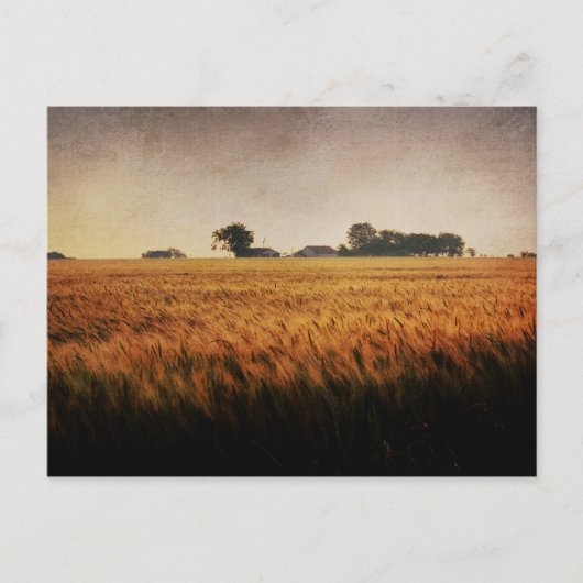 Texas Boerderij briefkaart (Voorkant)