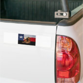 Texas Boots en Pet.jpg Bumpersticker (Op Truck)