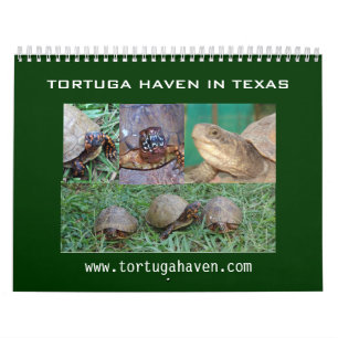 Texas Box Turtle Calendar Kalender