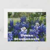 Texas briefkaarten! briefkaart (Voorkant / Achterkant)