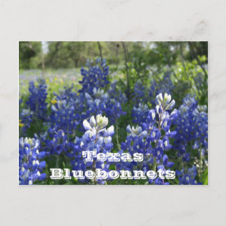 Texas briefkaarten! briefkaart