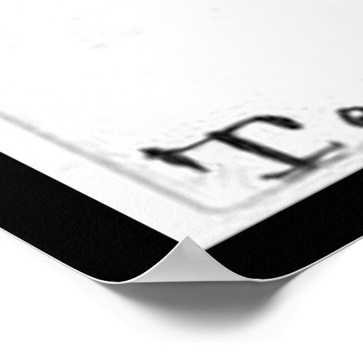 Texas Bud Poster (Hoek)