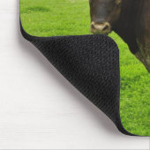 Texas Burnt Sinaasappel Longhorn Steer Muismat (Hoek)