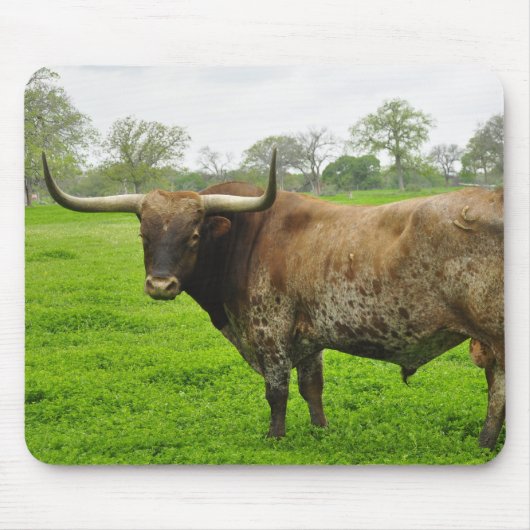 Texas Burnt Sinaasappel Longhorn Steer Muismat (Voorkant)