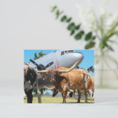 Texas C-47 Skytrain Briefkaart (Staand voorkant)