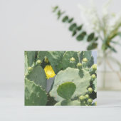 Texas Cactus Flower Briefkaart (Staand voorkant)