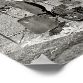 TEXAS CATTLE DRIVE CHUCK WAGON 1901 POSTER (Hoek)