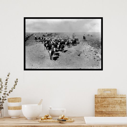 Texas Cattle Drive Poster (Keuken)
