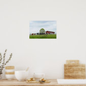 Texas Cattle en Oude Rode Schuur Poster (Keuken)