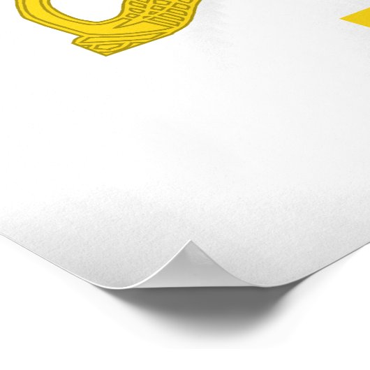 Texas Cavalry Poster (Hoek)