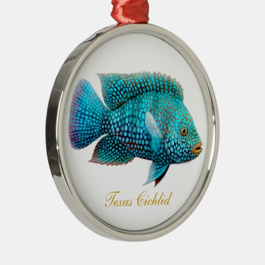 Texas Cichlid Carpintis Aquarium Fish Ornament (Rechts)