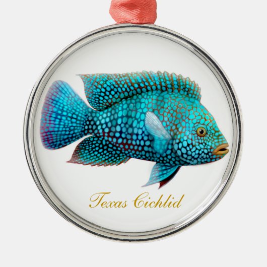 Texas Cichlid Carpintis Aquarium Fish Ornament (Voorkant)