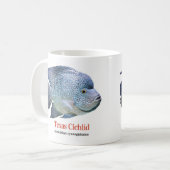 Texas Cichlid Koffiemok (Voorkant links)