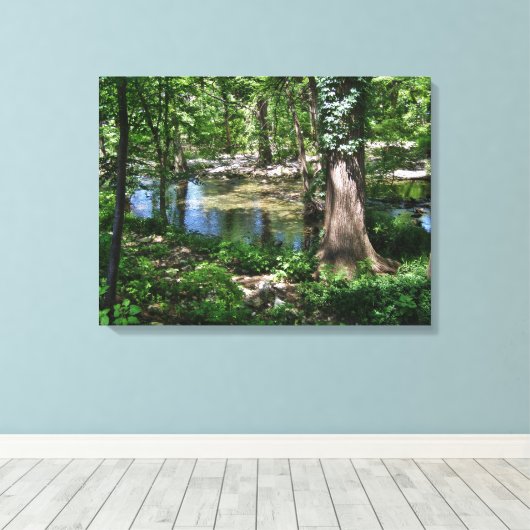Texas Creek Wimberley Canvas Afdruk (Insitu (Houten vloer))