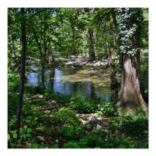 Texas Cypress Creek Wimberley Perfect Poster (Voorkant)