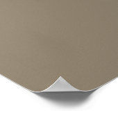texas de lone star staat contour poster (Hoek)