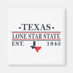 texas de lone ster ster state map contour magneet
