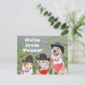 Texas Dogs in Bluebonnets Briefkaart (Staand voorkant)