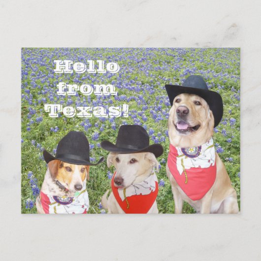 Texas Dogs in Bluebonnets Briefkaart (Voorkant)