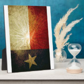 Texas Flag Firework Fotoplaat (Zijkant)