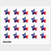 Texas Flag Lone Star State Travel Promo sticker (Vel)
