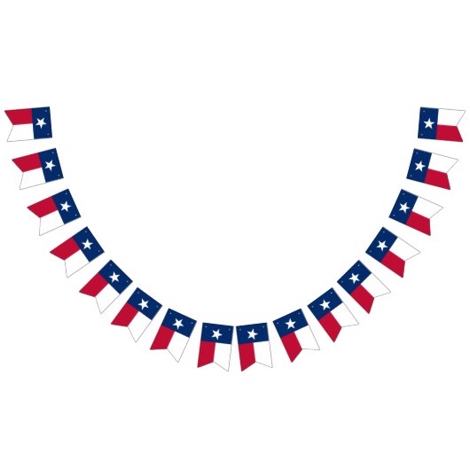 Texas Flag Party (Slagpartij) Vlaggetjes (Alle)
