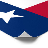 Texas Flag Poster (Hoek)