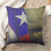 Texas Flag Rustic Lone Star USA Kussen (Deken)