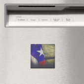 Texas Flag Rustic Lone Star USA Magneet (Insitu (Vaatwasser))