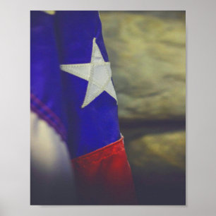 Texas Flag Rustic Lone Star USA Poster